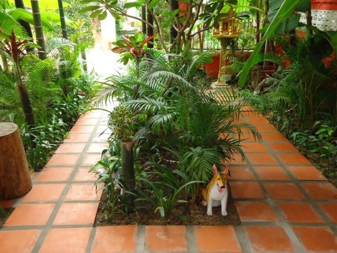 Ladybug Guesthouse Siem Reap Dış mekan fotoğraf